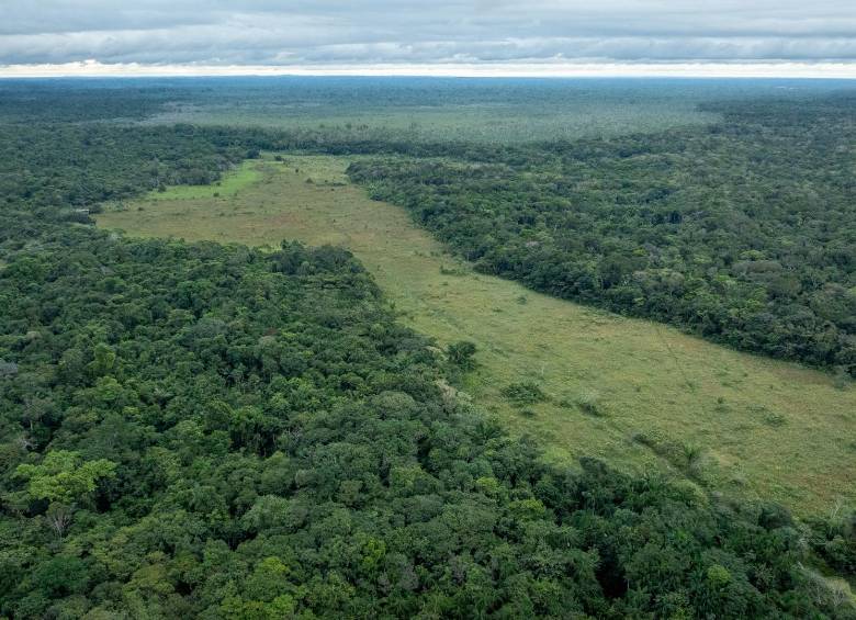 El documento establece siete principios orientadores para la formulación de políticas públicas en esa región. FOTO cortesía Sebastian Di Domenico