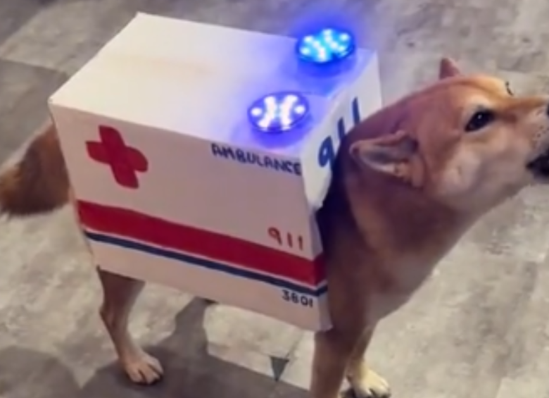En este Halloween, los perritos ambulancia fueron tendencia. Foto: redes sociales