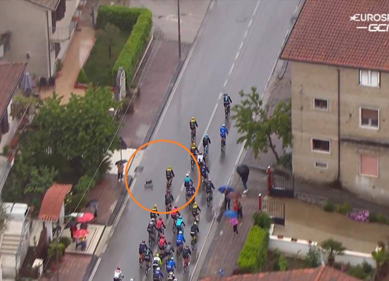 Remco busca su segundo título consecutivo en una carrera de tres semanas luego de ganar la pasada Vuelta a España. FOTO: captura de video Eurosport