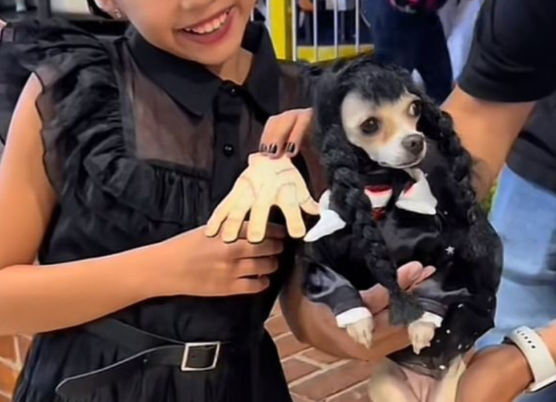 Otros se convirtieron en Merlina, de la familia Addams, con su característico vestido y trenzas negras. Foto: redes sociales