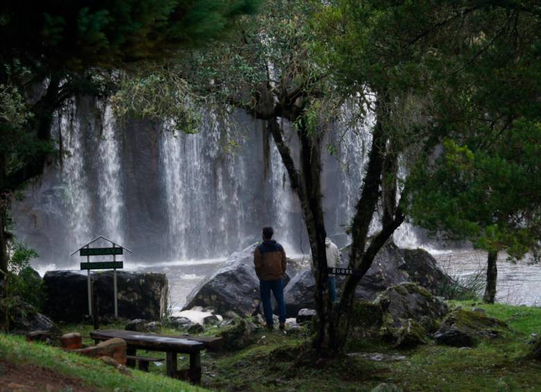 Las caminatas ecológicas pueden ser una forma para practicar los baños forestales. Foto: Enzo Sanches vía Unsplash