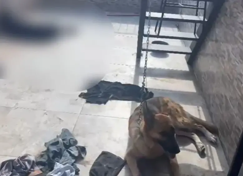 El pastor alemán y el rottweiler estaban en el mismo sitio, pero este último fue encontrado muerto. FOTO Cortesía Policía