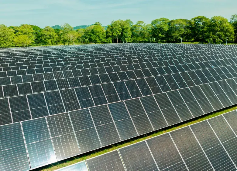 El crecimiento de la energía solar distribuida impulsa empleo local y reduce emisiones de CO₂ en distintas regiones del país. FOTO Cortesía