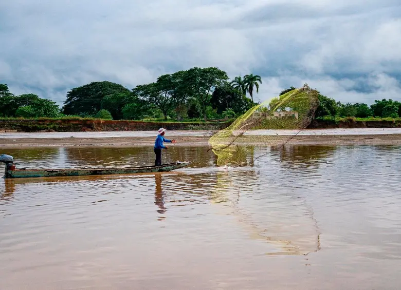 Con una inversión social y ambiental de más de 2,6 billones de pesos, Hidroituango ha impulsado proyectos que transforman la vida de más de 6.000 familias en 16 municipios. Fotos: cortesía EPM.