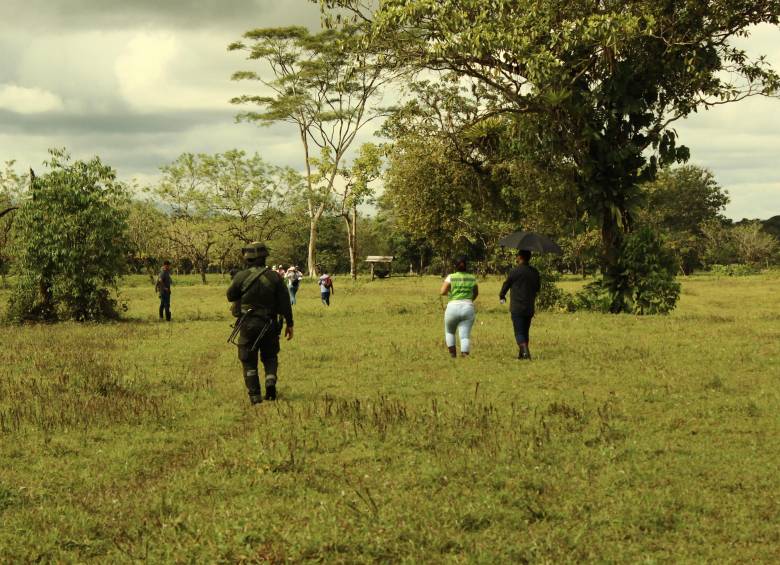 La desalentadora situación se reporta en varios municipios de Antioquia. Según la Fundación Forjando Futuros, en 37 municipios no se registra ni una sola sentencia de restitución; municipios como Medellín y Murindó son ejemplos claros del poco avance en la restitución de tierras en el departamento. FOTO: cortesía Forjando Futuros