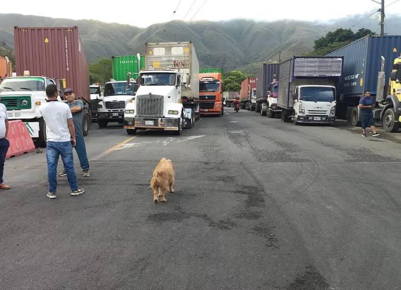 Empresarios y sectores productivos advirtieron que las afectaciones en el corredor hacia Buenaventura impactan las exportaciones, el transporte de mercancías y el abastecimiento de productos. FOTO: Fedetranscarga.