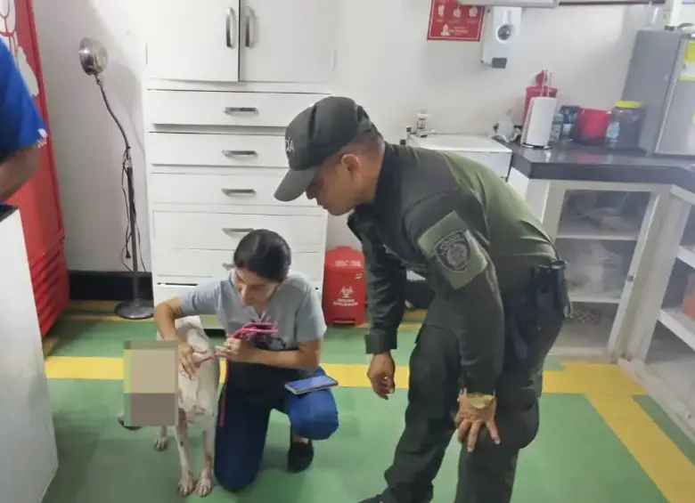 Ataque a perro en Barranquilla. Foto: Policía