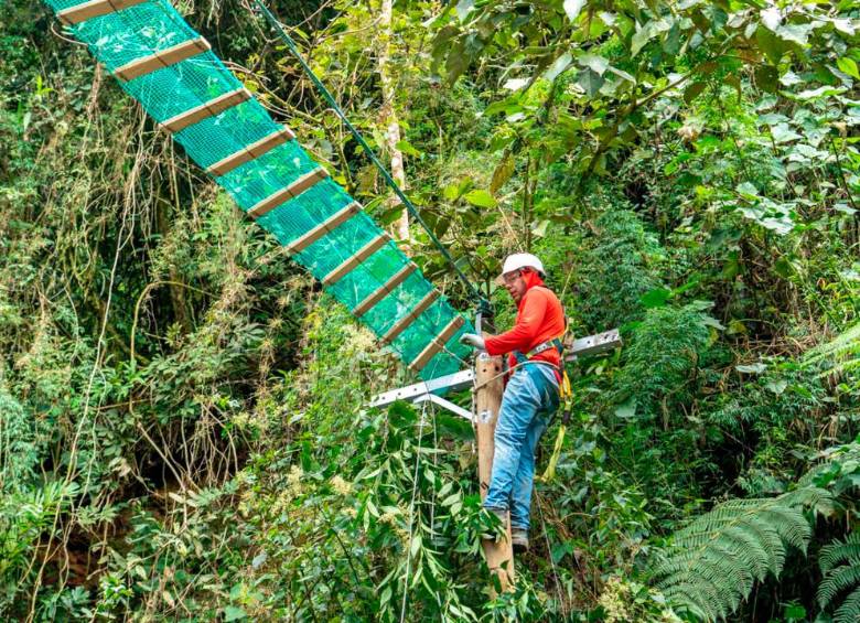 Los pasos seguros para la fauna silvestre, buscan evitar accidentes donde se ponga en riesgo la vida de los animales. FOTO: Cortesía Alcaldía de Medellín