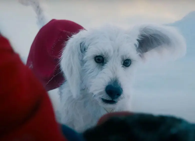 La figura de Krypto, el perro de Superman, inspiró un aumento masivo en la búsqueda y adopción de mascotas en Estados Unidos tras el estreno de la película dirigida por James Gunn. FOTO cortesía