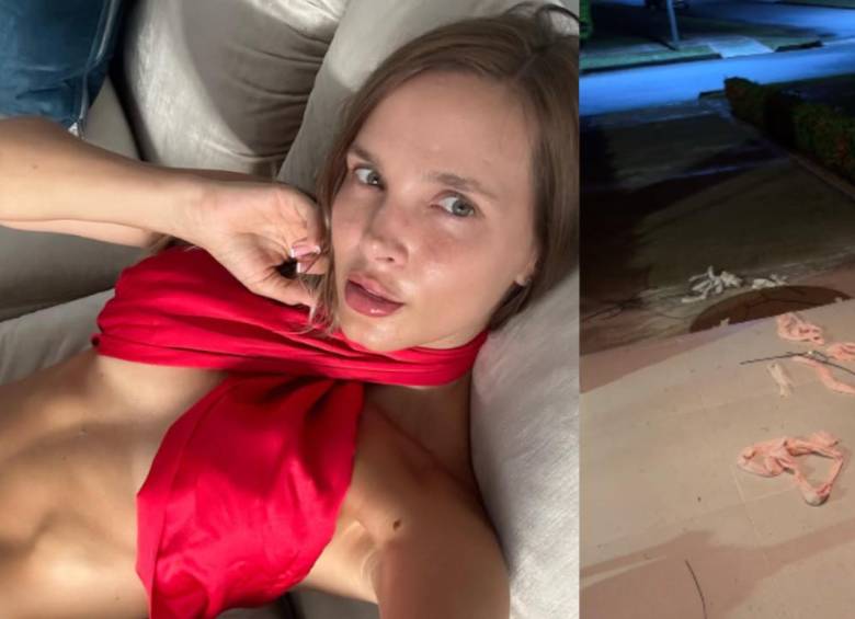 A Elizabeth Loaiza le robaron en su casa en Villavicencio. Foto: tomada de Instagram @elizabethloaiza