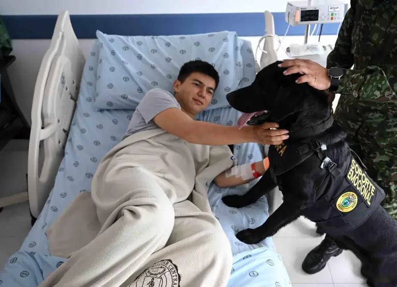 Uno de los perros dando apoyo emocional a un herido encargado combate. FOTO: REDES SOCIALES.