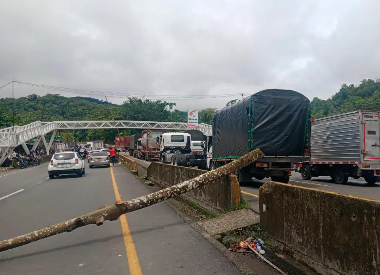 Camiones de carga enfrentan demoras de hasta ocho horas en el corredor vial hacia Buenaventura por bloqueos y congestión. FOTO COLFECAR.