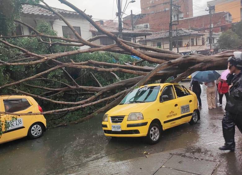 La caída del árbol afectó tres taxis por fortuna no hubo personas heridas. FOTO: Cortesía Denuncias Antioquia