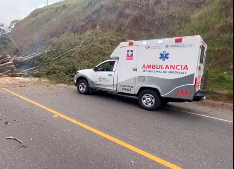 La ambulancia del Hospital San Antonio, de Tarazá, quedó atrapada en medio del derribo de un árbol en Cáceres. FOTO: CORTESÍA
