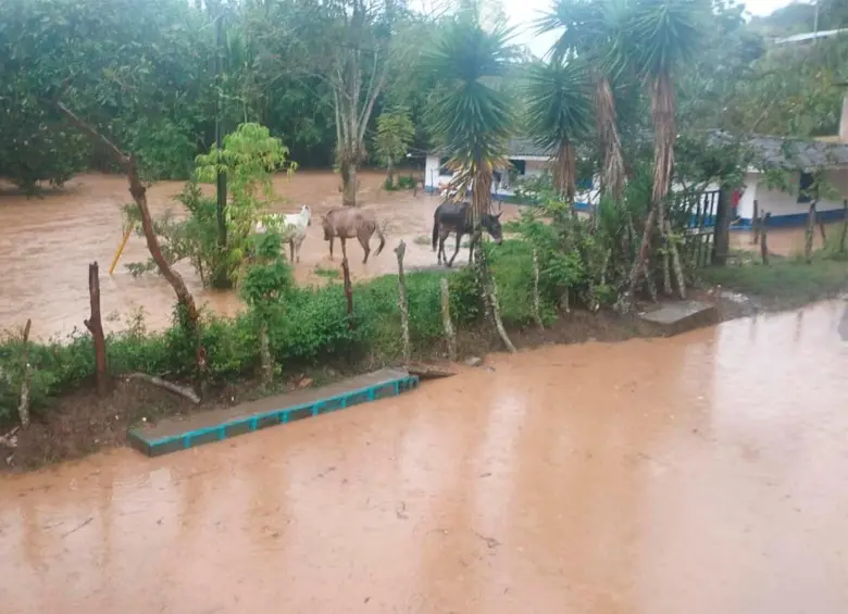 Las alertas comunitarias serán vitales para evitar que las emergencias que se presentarán terminen en tragedia. FOTO: CORTESÍA DAGRAN
