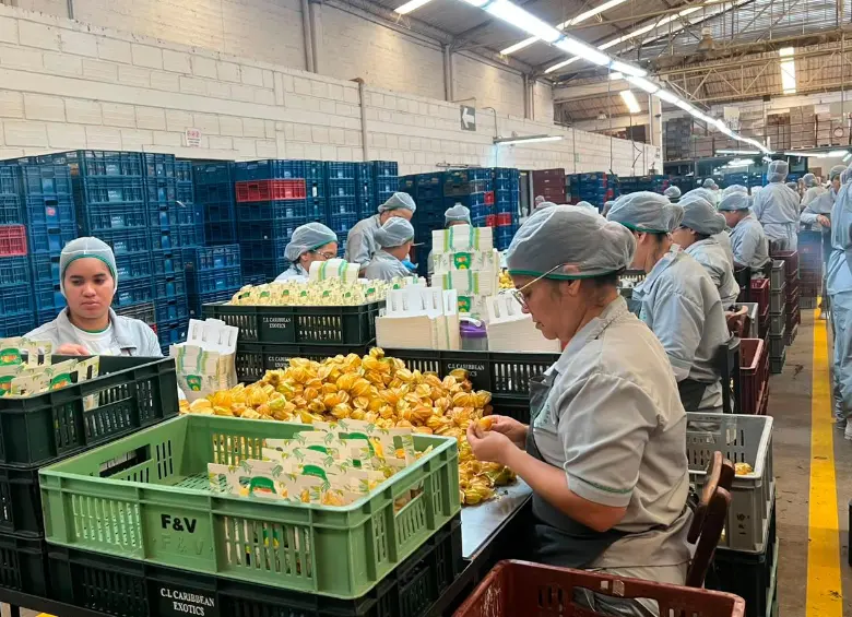 La Gobernación de Antioquia amplió el programa Más Empleo para las Mujeres en Antioquia a las nueve subregiones del departamento, con incentivos para que más empresas contraten mujeres y contribuyan a reducir las brechas laborales. FOTO cortesía Secretaría de las Mujeres