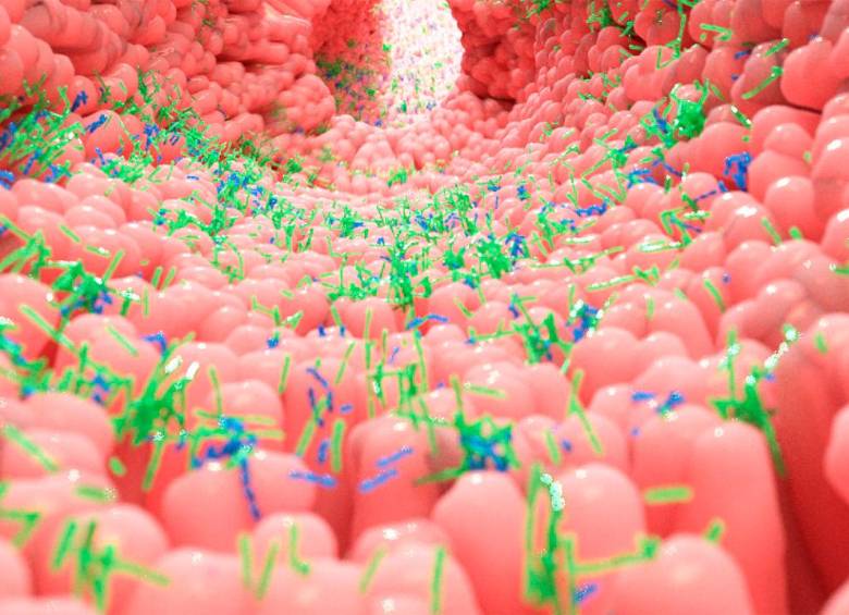 No todas las bacterias le hacen daño a su cuerpo, muchas le ayudan a mantenerse sano, reforzando en su cuerpo el desarrollo de procesos de inmunidad y digestivos. Microbioma humano. Ilustración 3D: SSTOCK