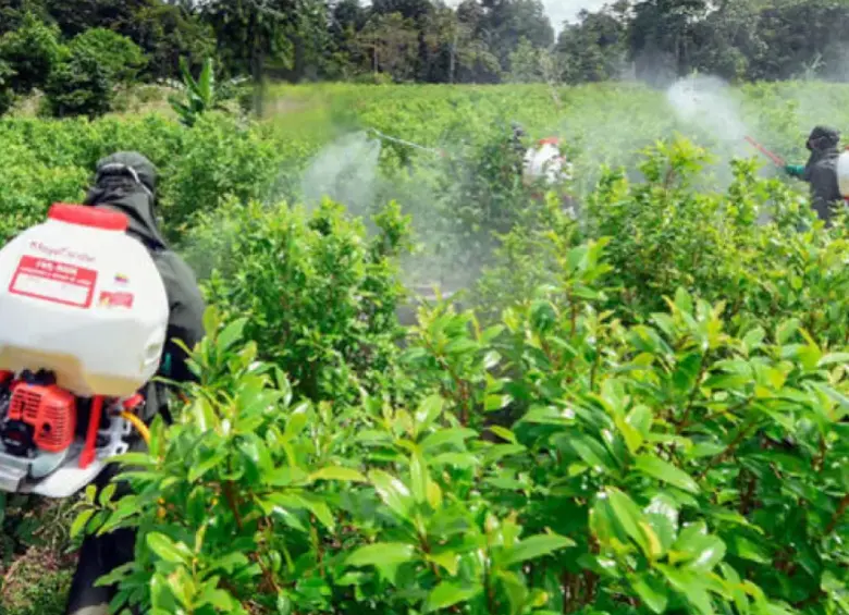 El inicio de las operaciones de aspersión terrestre con glifosato está programado para este mes en Argelia, Cauca. FOTO: AFP