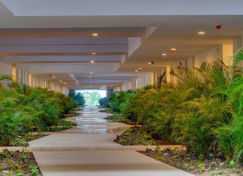 Arquitectura biofílica, privilegiando la naturaleza en todos sus ambientes. FOTO CORTESÍA