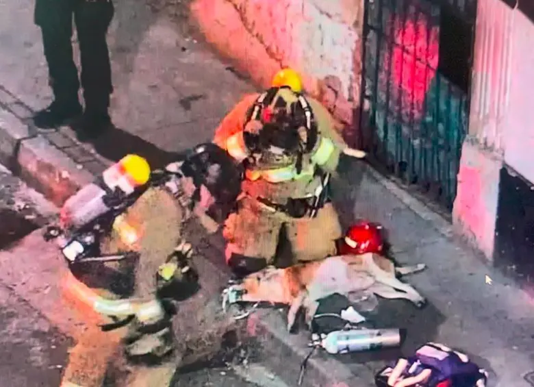 Los bomberos le pusieron oxígeno al canino mediante una máscara especializada para estabilizarlo y luego le dieron alimento. FOTO: CORTESÍA - ALCALDÍA DE MEDELLÍN