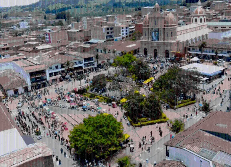 En un pueblo de Antioquia rescataron a una cachorra arrojada a la basura