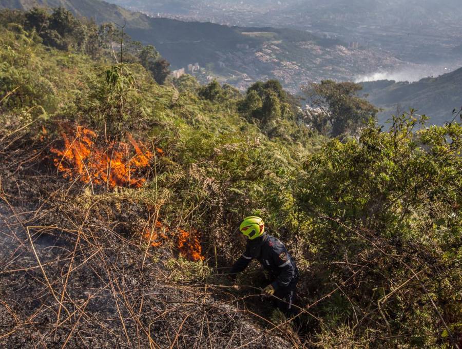 Las autoridades advierten sobre mayor riesgo de incendios forestales, reducción de caudales, afectaciones a la salud pública y presión sobre el suministro de agua y energía. Foto: cortesía Alcaldía de Medellín.