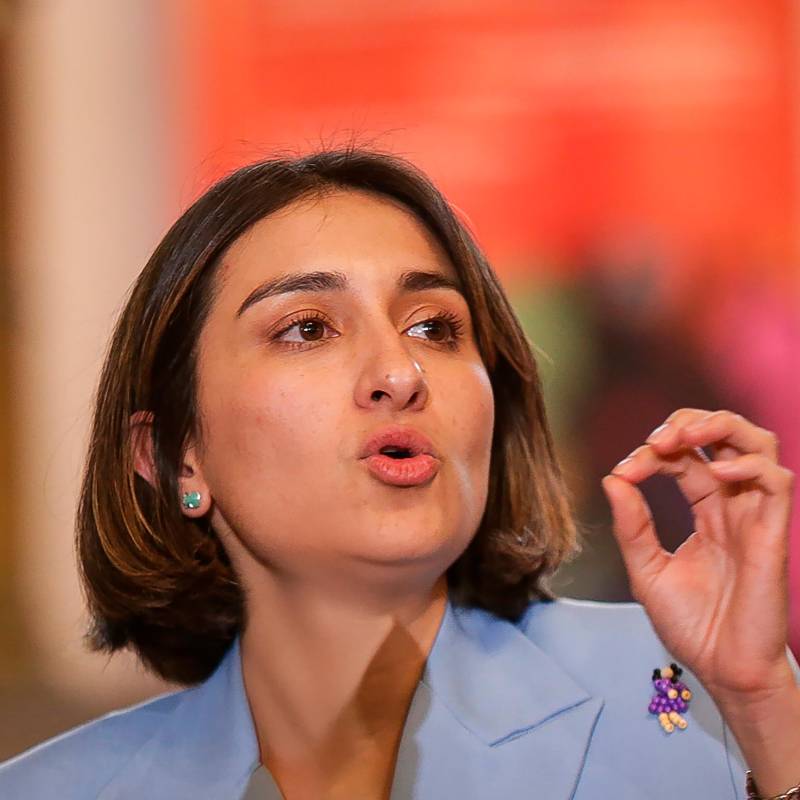 La canciller Laura Sarabia fue en reemplazo del presidente Gustavo Petro a la décima Cumbre de Jefes de Estado y Gobierno de la Asociación de Estados del Caribe (AEC). FOTO: Colprensa