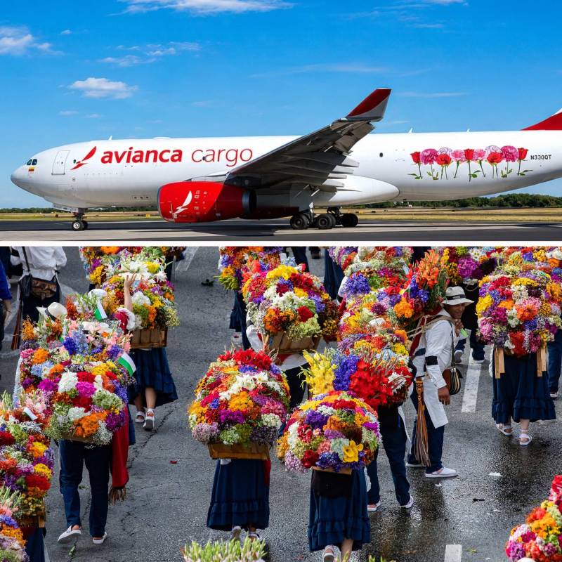 Avianca Cargo transportó 82.000 toneladas de flores y fortalece su apuesta por Medellín. FOTO: ESNEYDER GUTIÉRREZ - Avianca Cargo