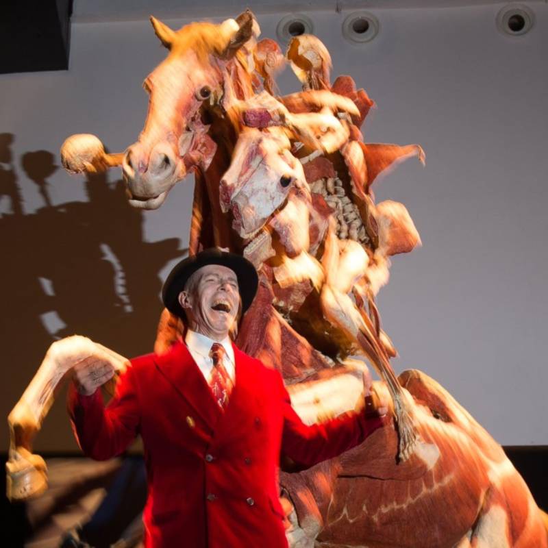 El creador de Body Worlds murió a los 81 años: su cuerpo será plastinado como él mismo lo decidió. FOTO: AFP