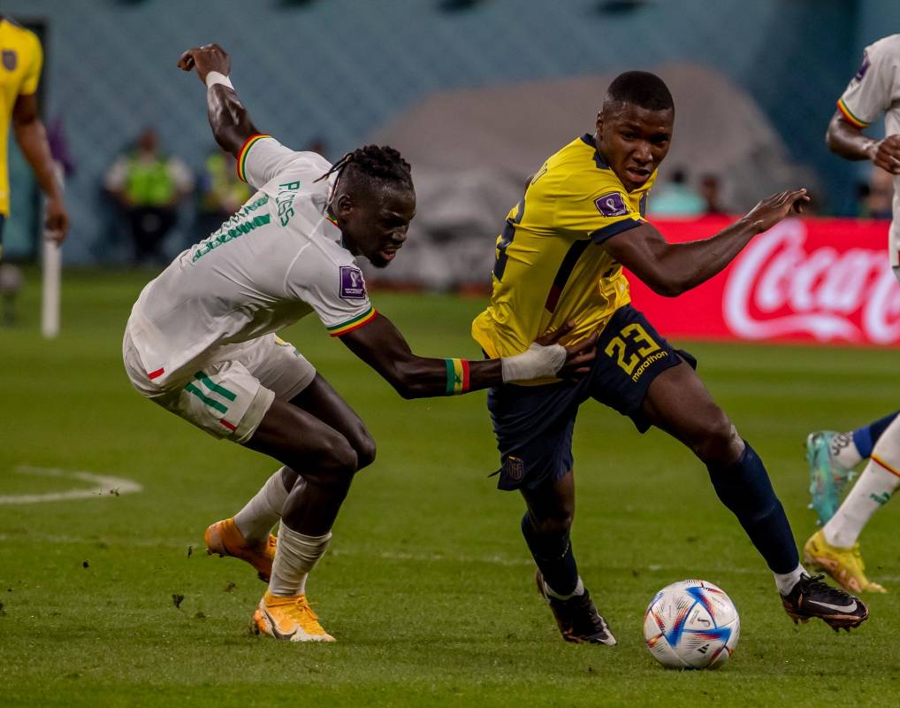 Moisés Caicedo (23) anotó el empate parcial de los ecuatorianos contra Senegal, que puso a soñar, por un par de minutos, a los sudamericanos con la clasificación a la segunda instancia de la Copa del Mundo. FOTO: JUAN ANTONIO SÁNCHEZ