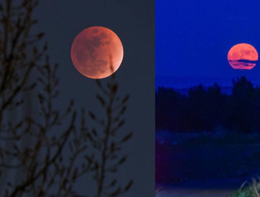 Durante el eclipse de este jueves, 27 de agosto, la Luna experimentará un color rojo o cobrizo. Foto: Xinhua