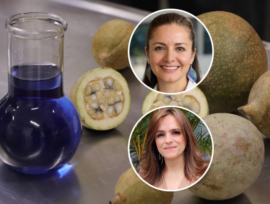 El desarrollo del azul de jagua fue posible gracias al trabajo conjunto de mujeres y hombres comprometidos con la creación de un colorante natural estable y poco común en la naturaleza. FOTO: Cortesía