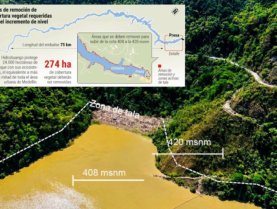 EPM planea culminar en septiembre la poda de la zona inundable y aprovechar la temporada de lluvias para llevar el embalse de Hidroituango a la cota 420 en noviembre. FOTO CORTESÍA EPM