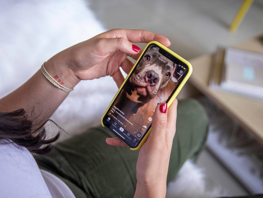 Mientras tanto, en Reino Unido, el ente regulador de medios de comunicación y telecomunicaciones abrió investigación contra TikTok para determinar si ha incumplido sus obligaciones de proteger a los menores de la exposición a contenidos perjudiciales. FOTO El Colombiano. 