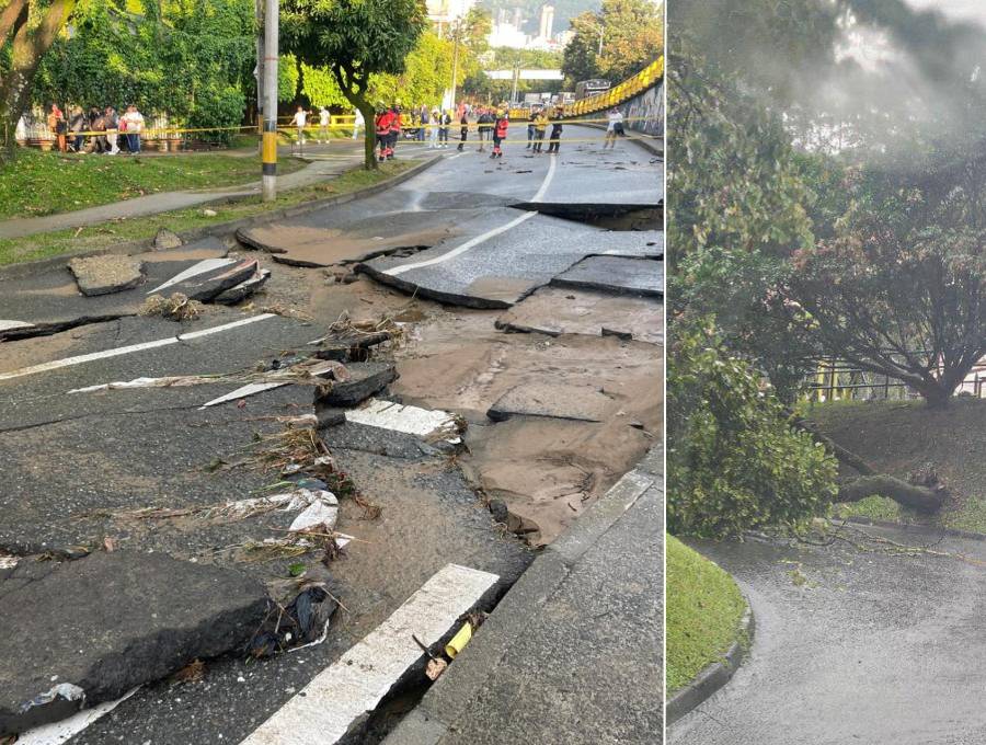Álbol caido en Medellín. Foto: Juan Antonio Sánchez, EL COLOMBIANO - cortesía