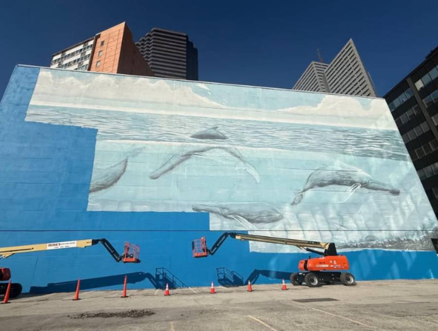 El artista Robert Wyland demandó a la FIFA por US$25 millones luego de que su emblemático mural de ballenas en Dallas, Texas, fuera cubierto para los preparativos del Mundial de 2026. Foto: redes sociales @wyland
