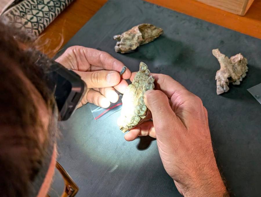 Algunos de los hallazgos examinados por un profesor. FOTO: Cortesía ASU