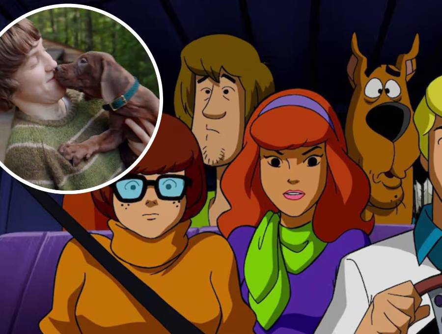 El personaje de Scooby-Doo será interpretado por un <b>gran danés real</b> en la nueva serie live action de Netflix. Foto: redes sociales / Netflix