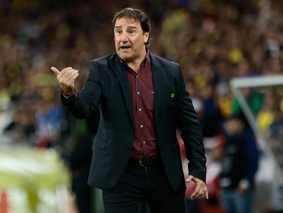 Néstor Lorenzo, técnico de la Selección Colombia. FOTO GETTY