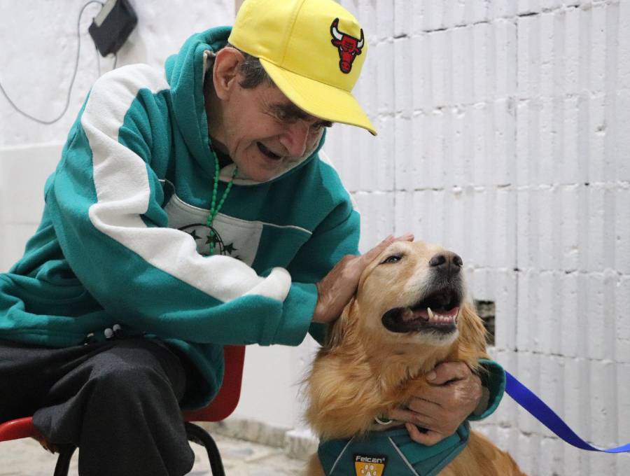 Uno de los perros que estuvo presente en el hogar geriátrico San Cristóbal. FOTO: Cortesía