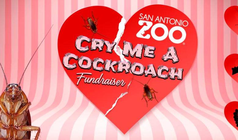 “Cry Me a Cockroach” es la iniciativa para que simbólicamente su expareja sea comido por un animal del zoológico. Ayuda a la fauna silvestre. FOTO: CORTESÍA