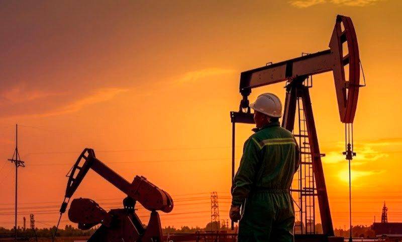 La producción nacional de petróleo se mantiene dentro de los rangos operativos previstos para el sector en 2026. FOTO: CORTESÍA ANH
