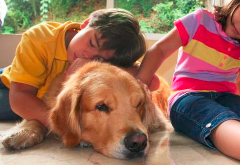 ¿Qué significa que una mascota sea de soporte emocional?