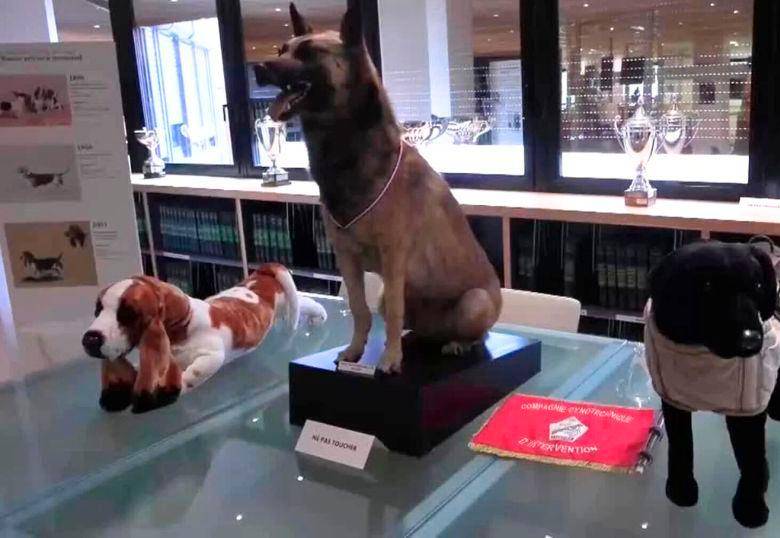 Así es el maravilloso Museo del Perro en Francia