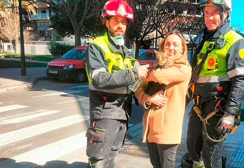 El gato que apareció ocho días después en el lugar del incendio en Valencia, España
