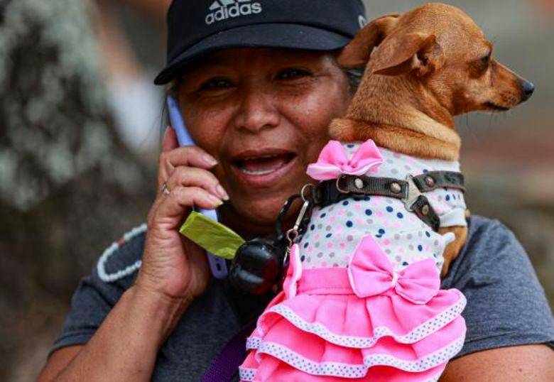 “Perrhijos”, o tratar a nuestros perros como si fueran hijos: ¿Es buena idea?
