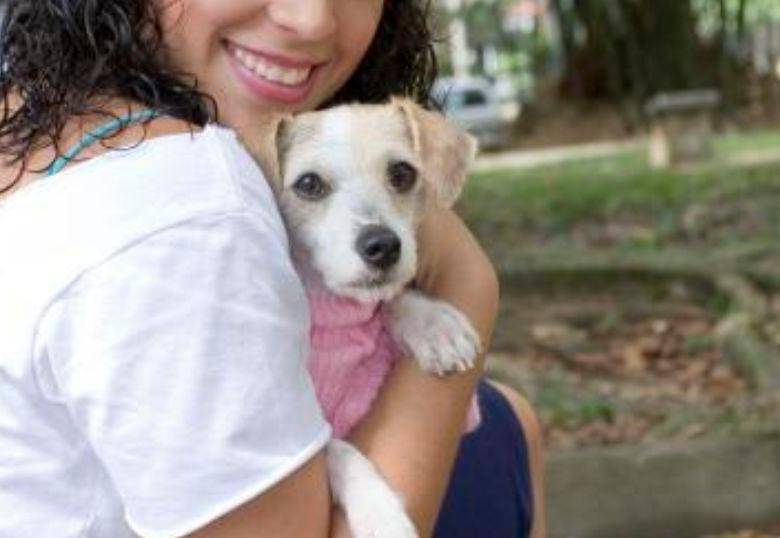 Nos han tenido engañados: a los perros no les gusta que los abracemos