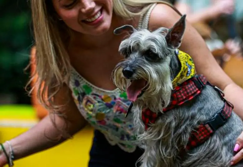 Obesidad en perros: estas son las razas más propensas a sufrirla