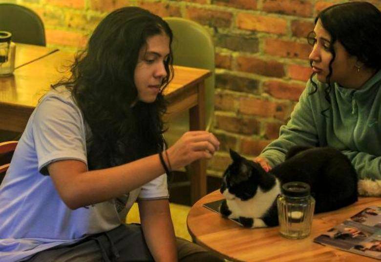 Cinco razones por las que el vínculo con tu gato es tan fuerte