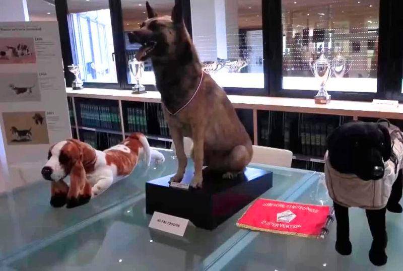 Así es el maravilloso Museo del Perro en Francia